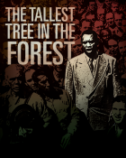 The Tallest Tree in the Forest poster